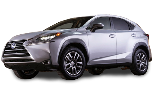 2D коврики EVA в салон и багажник  на Lexus NX (2014-2021)