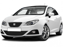 2D коврики EVA в салон  на SEAT Ibiza IV (2008-2017)